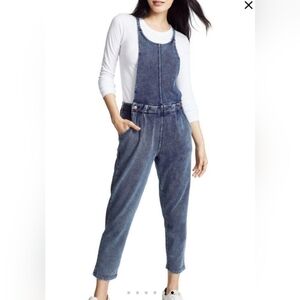 Z Supply - The Knit Denim Overalls